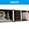 DGXCC